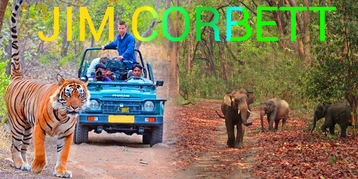 Jim Corbett Tour Package from Delhi